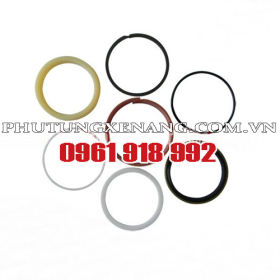 Phớt xy lanh nâng hạ TCM