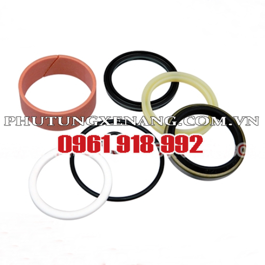 Phớt xy lanh nâng hạ xe nâng TCM 234F8-49801